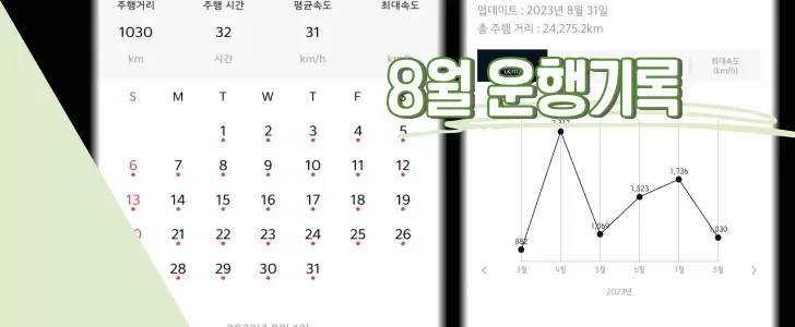 ev6 8월 운행리포트